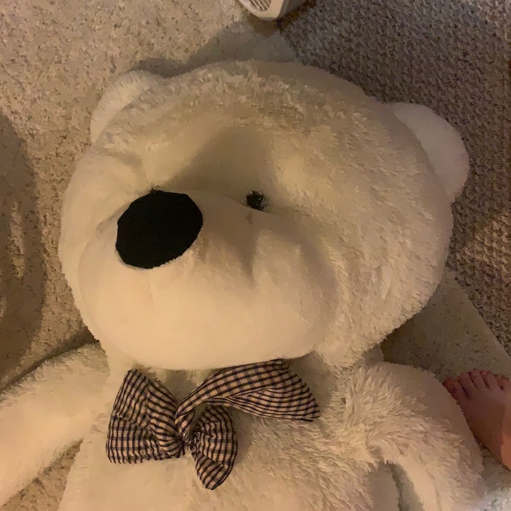 6 foot tall bear